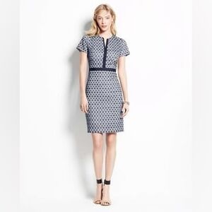 Ann Taylor Diamond Geo Print Split Neck Dress 4